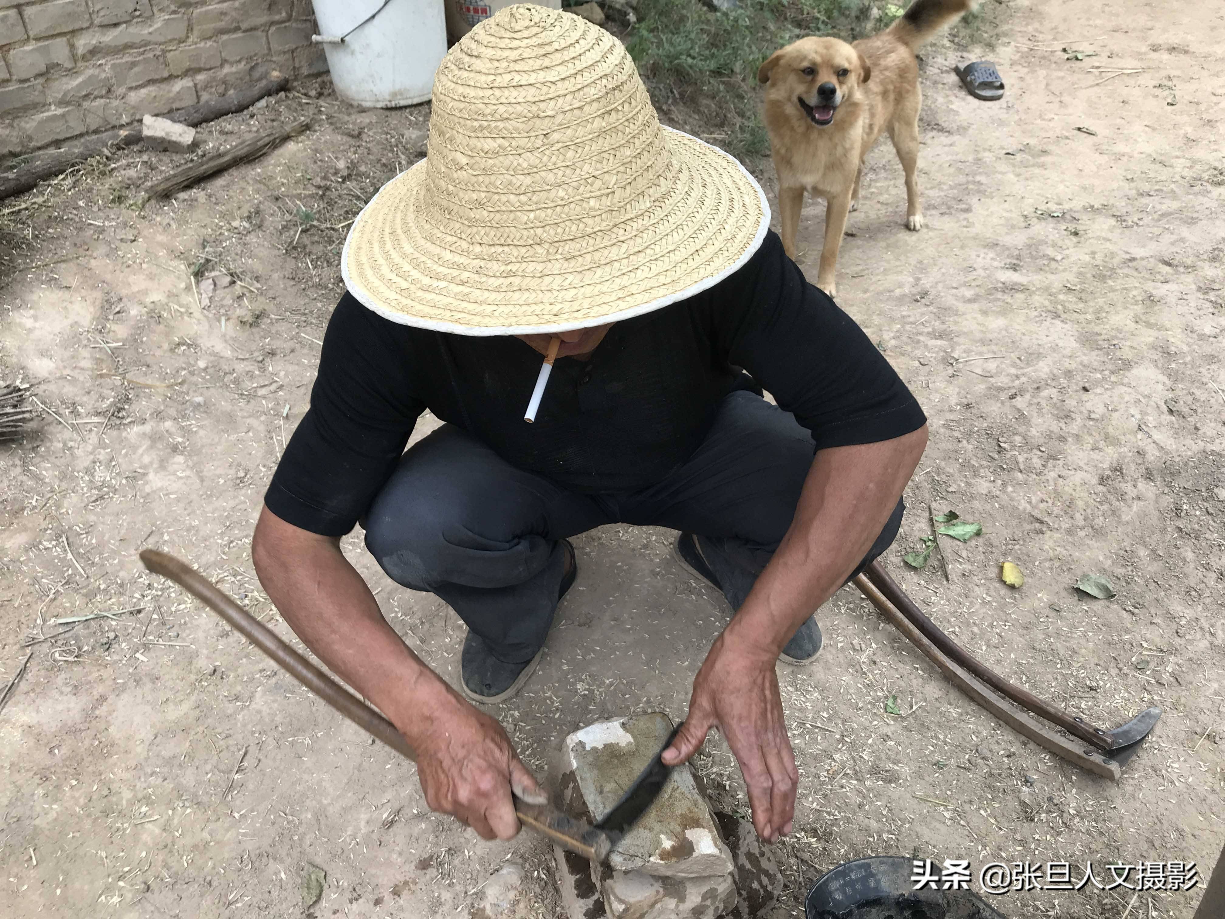 看黄土高原70岁老农收麦子，吃的小米饭，睡在麦茬上，太辛苦了-搜狐大视野-搜狐新闻