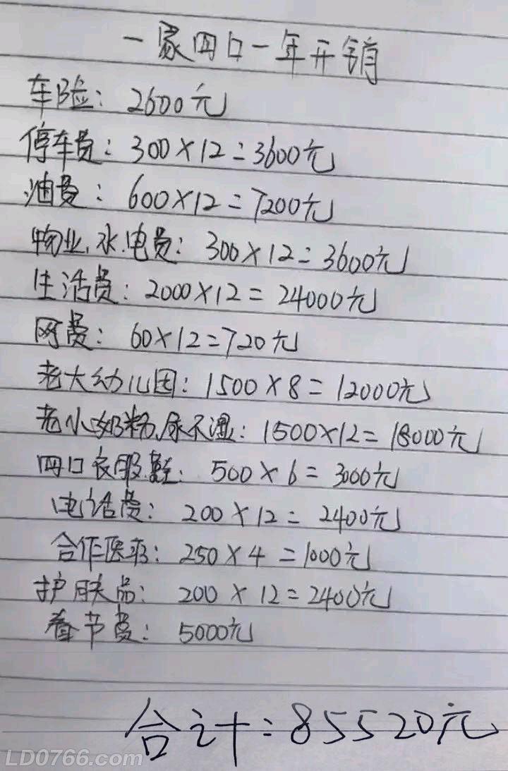 一位在罗定生活的普通90后晒家庭年支出网友却大呼土豪生活