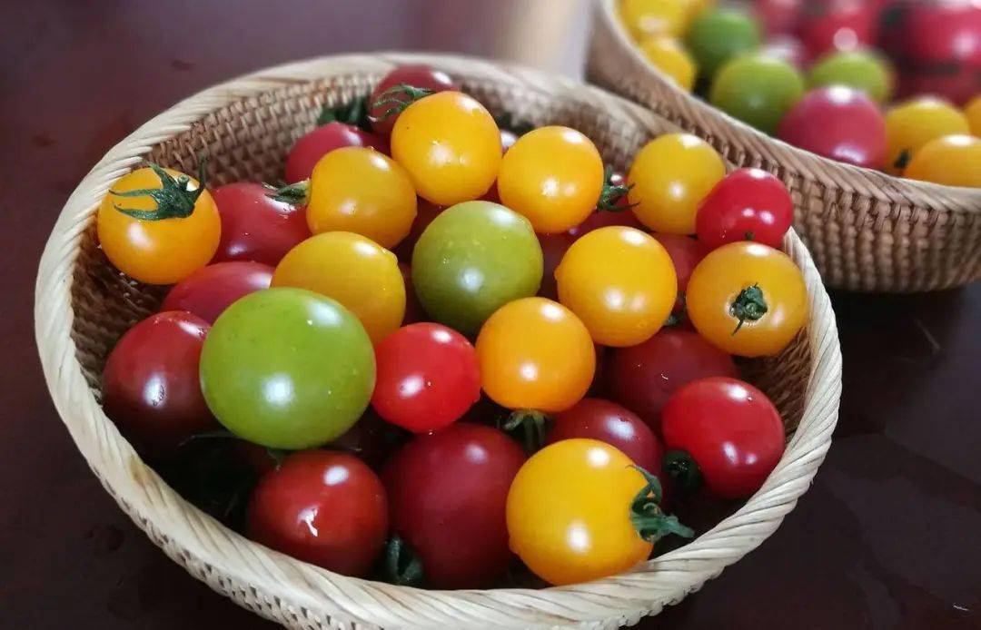 颜值至上,崇明五彩小番茄炫彩上市