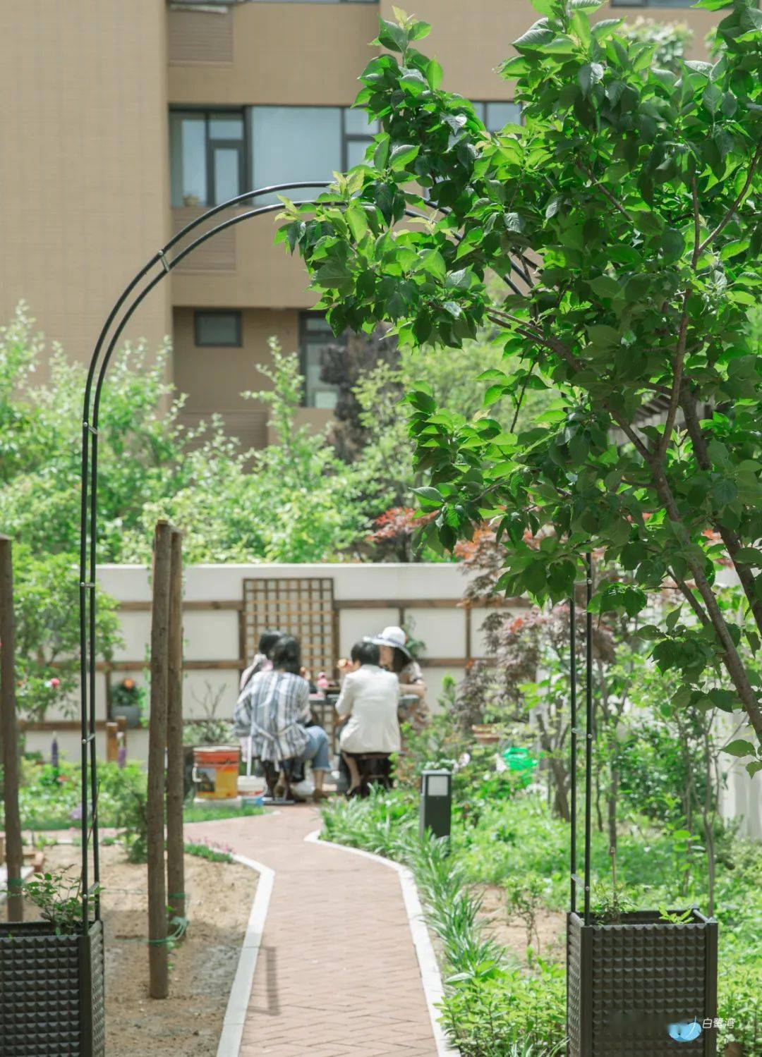 白鹭湾美术馆小镇第四届院落选美大赛67参赛作品院子里的我们