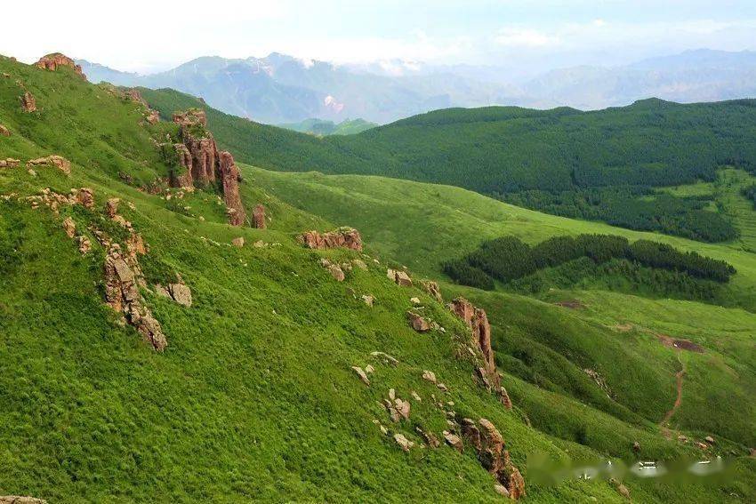 尋找河北最高山村‖紮營茶山,燒烤腐敗!