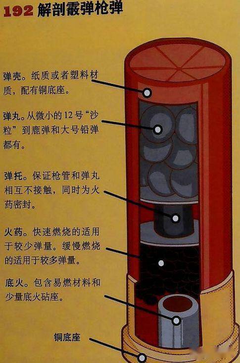 喷子面前人人平等,霰弹弹着群及霰弹枪射击效果图分析