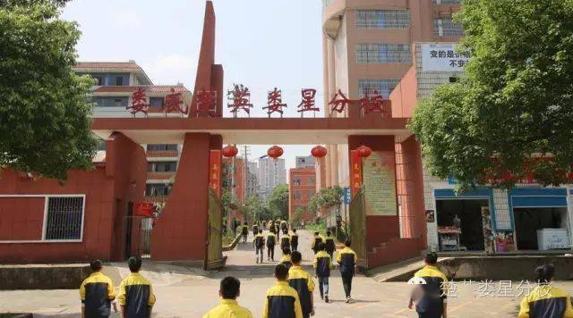 娄底楚英娄星分校2020年秋季招生简章