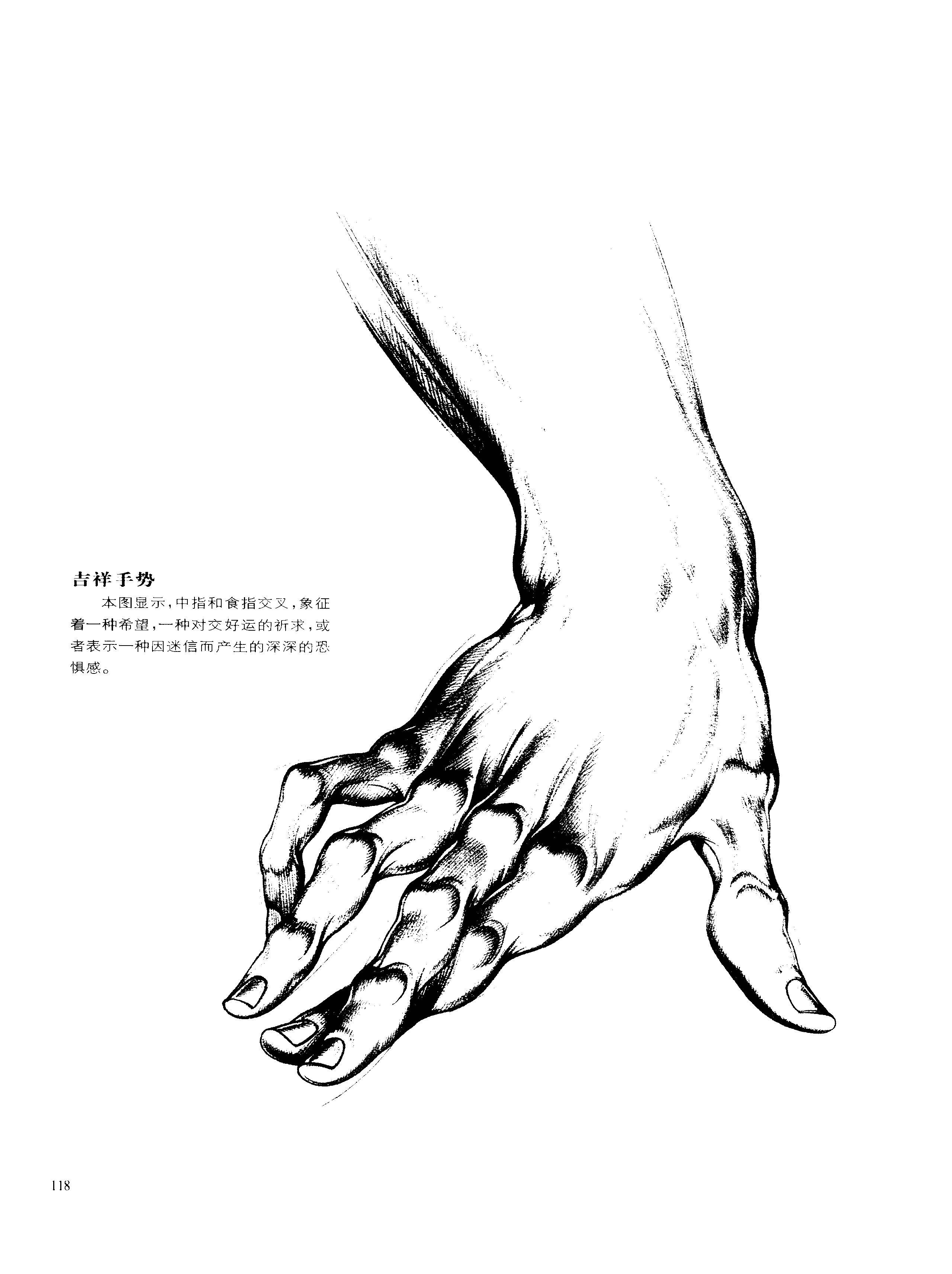 动态素描·手部结构 交际和手势 伯恩霍加思