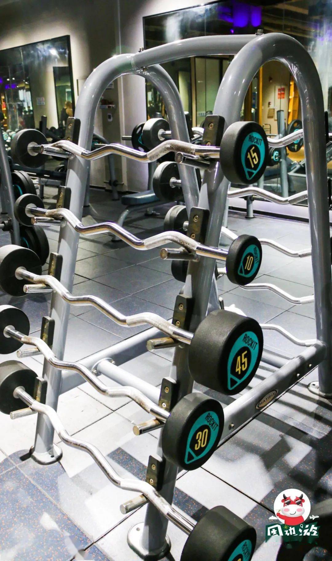 舞蹈瑜伽 百种健身器材 有氧操 汗蒸温泉,来这里的人都瘦了!_器械