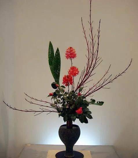 树枝插花不一样的视觉感