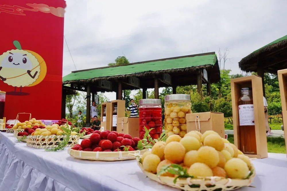 一年一会上虞二都杨梅红了