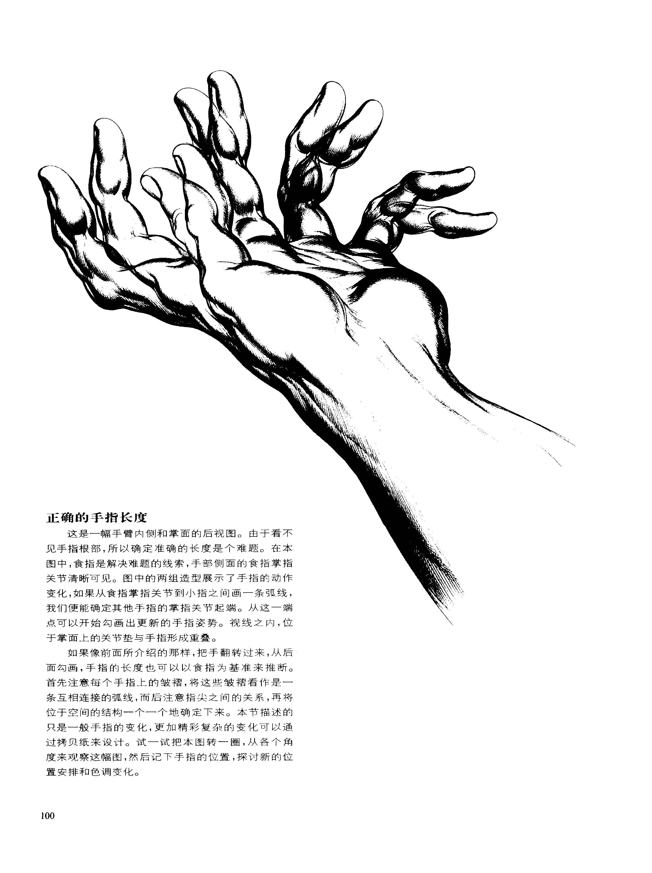 动态素描·手部结构 创造手的姿势 伯恩霍加思