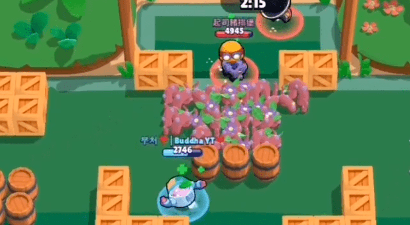 荒野乱斗芽芽大型攻略!带你走进不一样的芽芽!