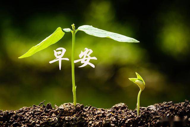 早安心語用努力去奮鬥用目標去衡量