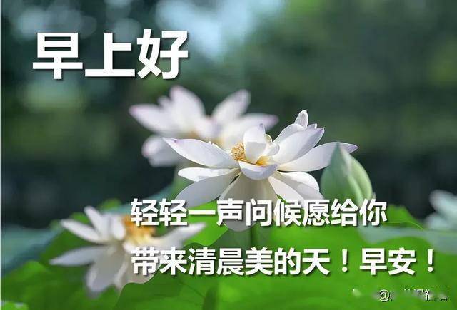 早晨好祝福語圖片合集週日早安問候語表情圖片微信