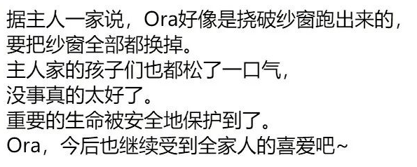 “我用一顿火锅钱，救了一只猫！”