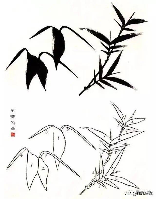 图文教程中国画入门之写意花鸟