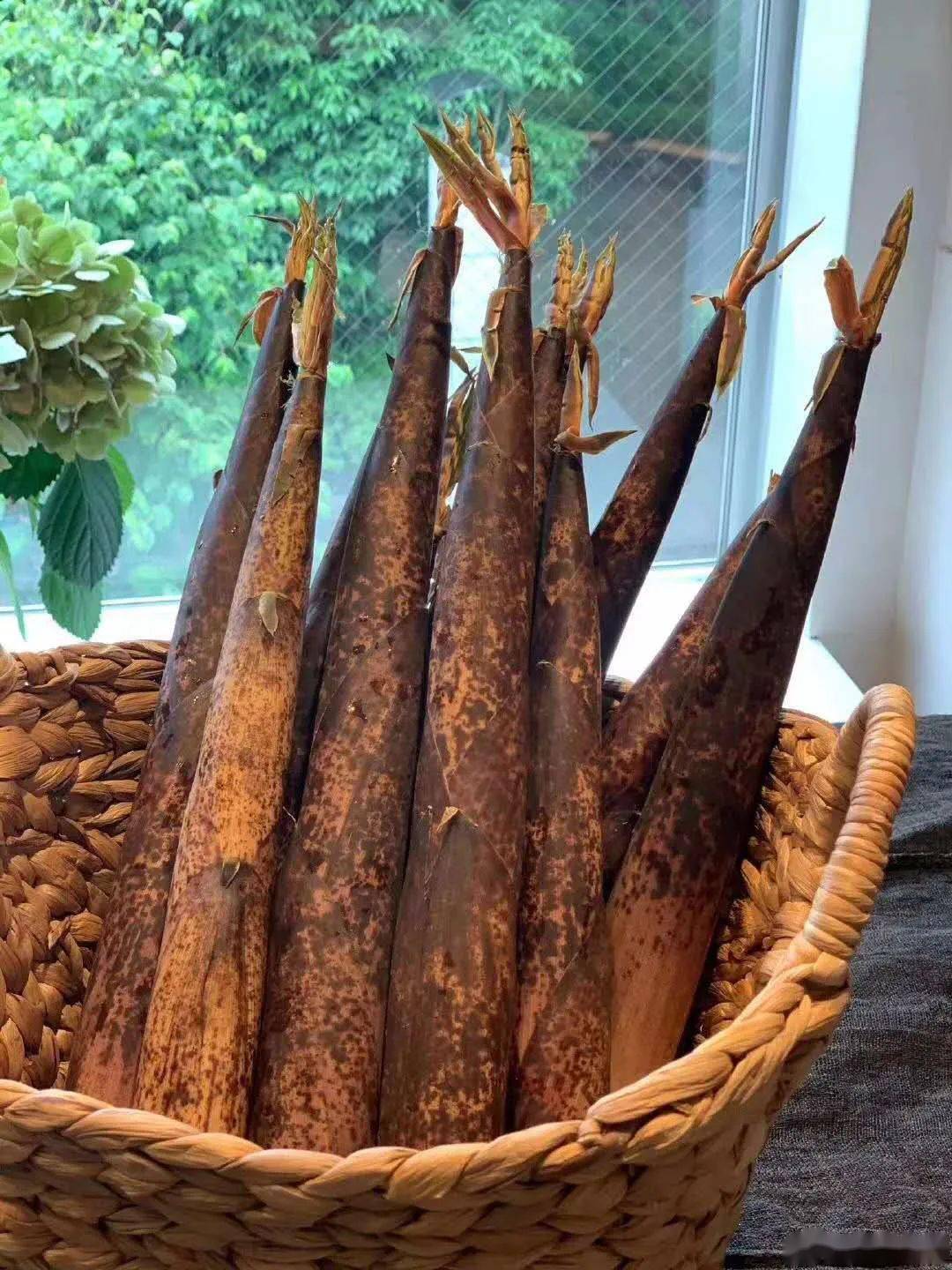 买点东西,路过这家广岛烧小店(好み焼 くるみ),门口摆着新鲜的桂竹笋