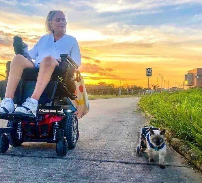当四肢瘫痪的女孩遇见残疾小猫咪，就算坐轮椅也能环游世界啊！
