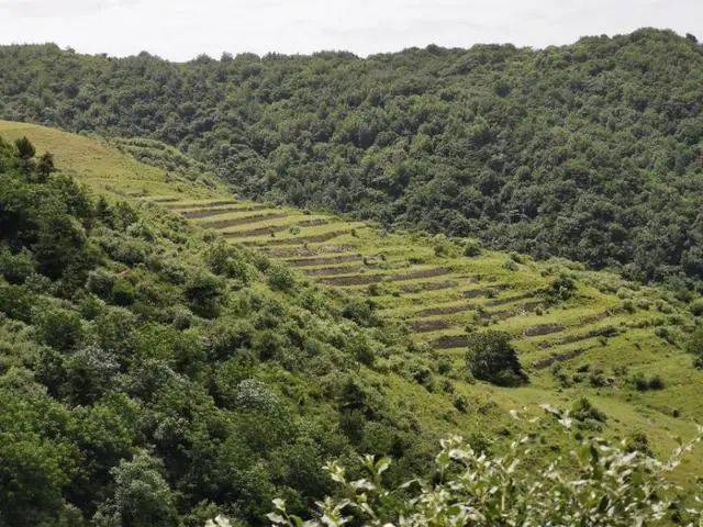 蓝田流峪寺高山草甸图片