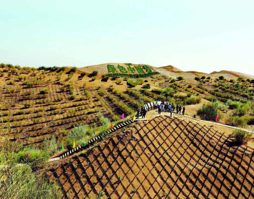 "十三五"以来我国完成防沙治沙任务880万公顷