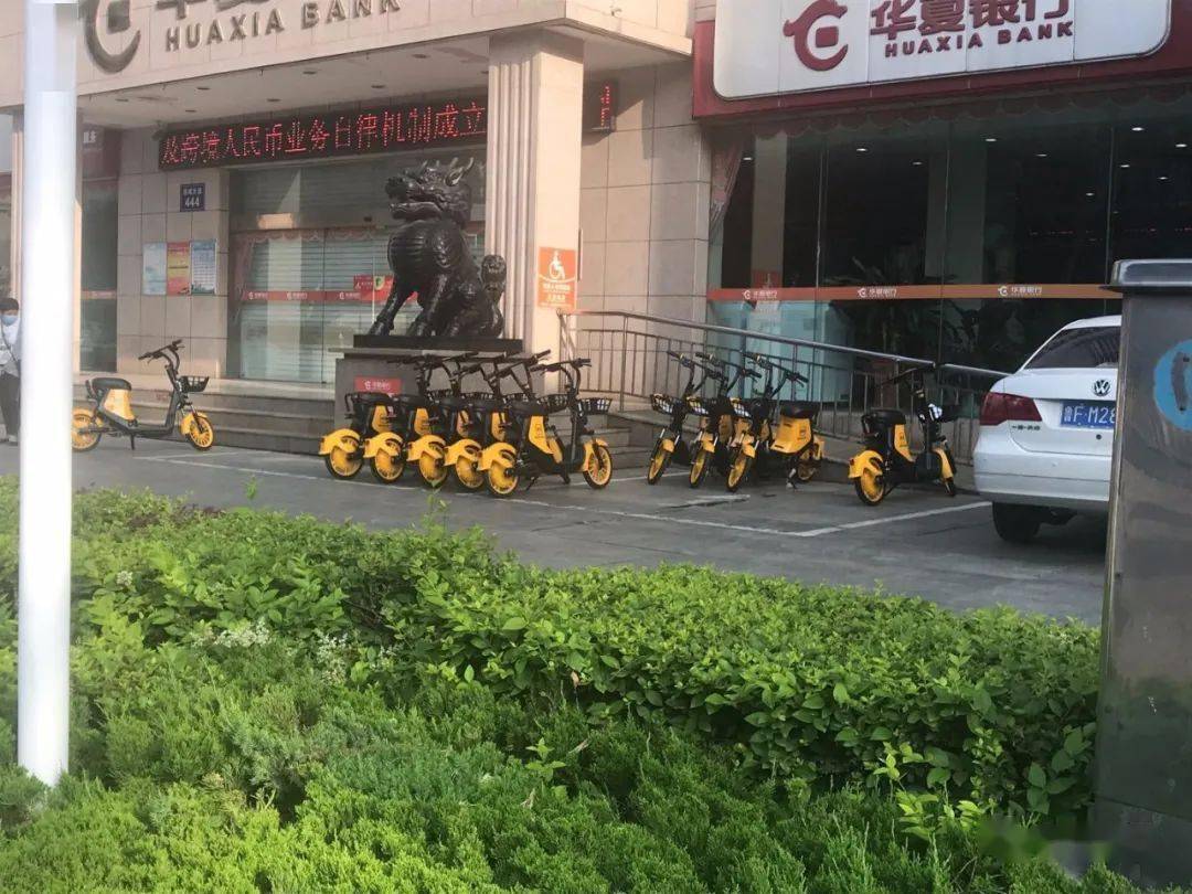 龙口市街头突然多了很多小黄车……(文末有福利)