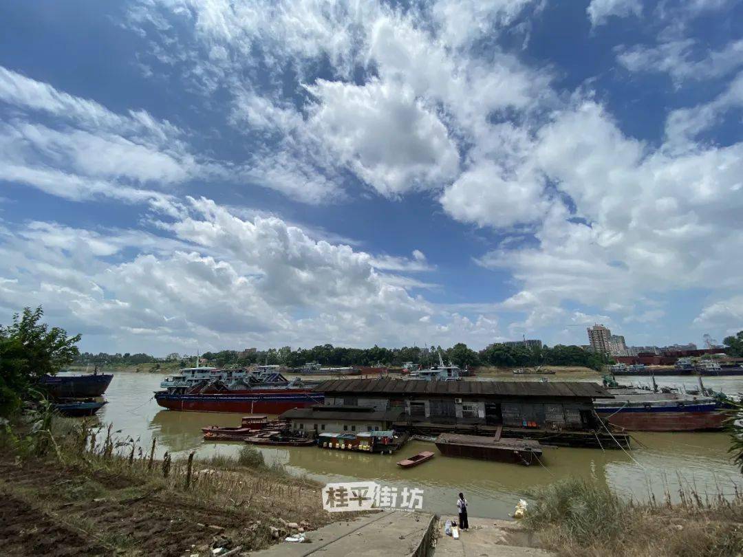 实拍洪水退后的北江桥底,三角咀._桂平