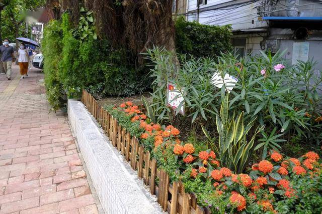 荔湾|现场直击:家门口的小花园,恩宁社区辖内的"邻里花园"完工啦