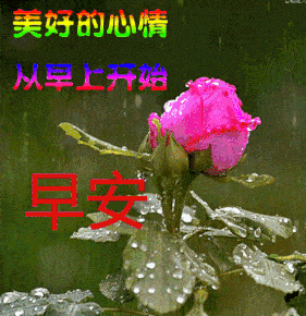 一辈子不长用心甘情愿的态度过随遇而安的生活早安