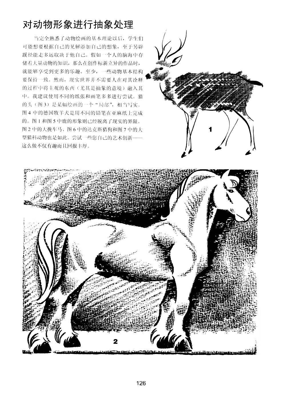 世界绘画经典教程：动物素描-搜狐大视野-搜狐新闻