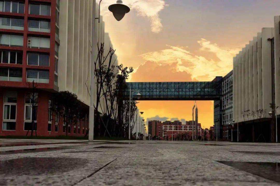 乐职院别再低调了