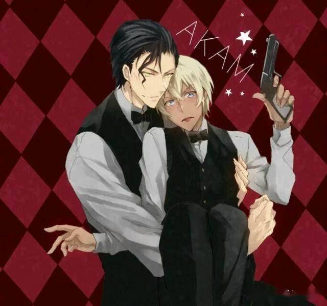 继续做那个高中生侦探,而黑衣组织的人由日本公安进行调查,而因为琴酒