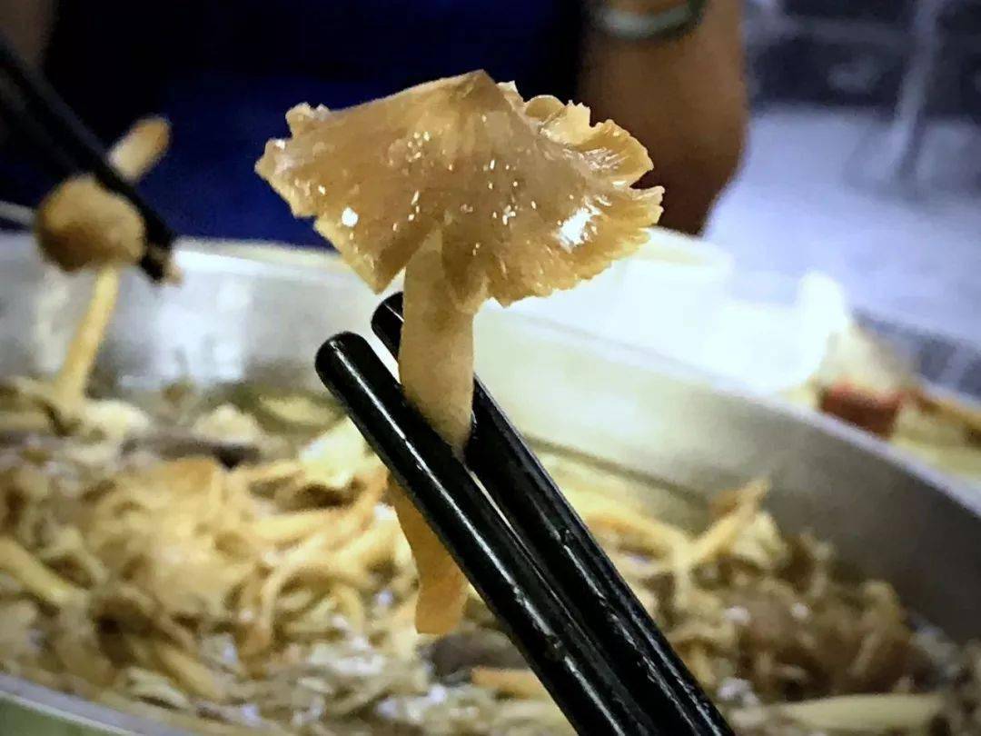 一年仅此一次的荔枝菌|欢迎美食家品尝~~~_蚁窝
