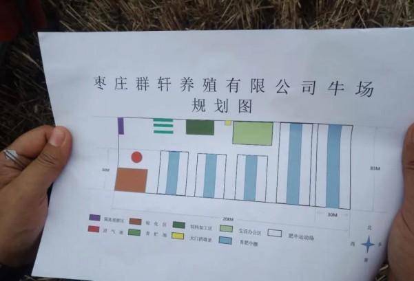 开工大吉!枣庄群轩有限公司牛养殖场项目落户底阁