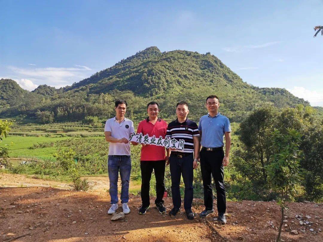 據瞭解,薈豐四季生態農業(清遠陽山)有限公司,目前已在黎埠革命老區