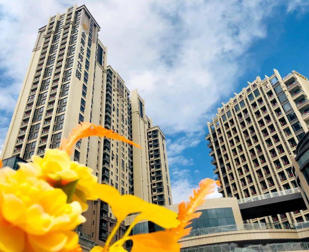 金紫名邦花园一期盛大交房