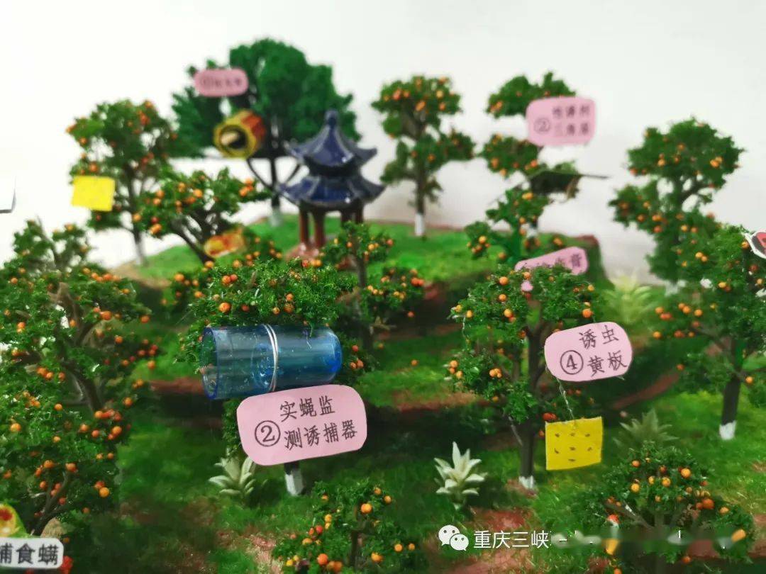 学生作品赏析果园园林害虫害螨绿色防控示范园模型