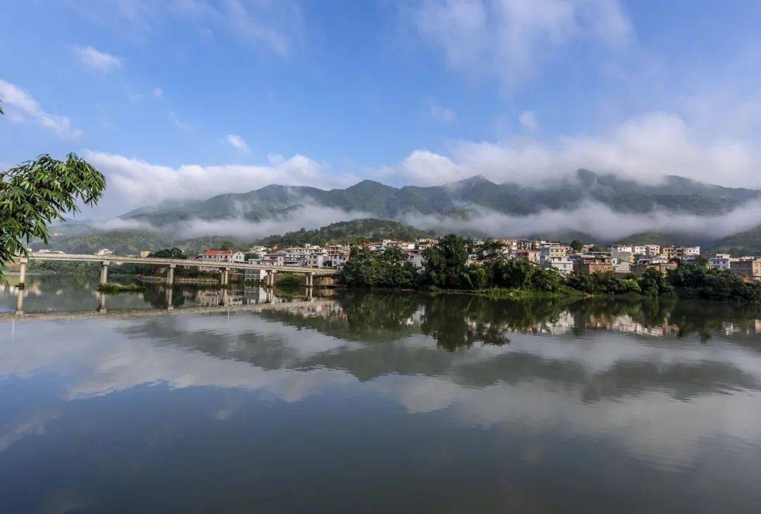 雨後雲騰霧繞,鳥鳴啁啾,宛如仙境上杭縣舊縣鎮壩上村 藍善祥/攝整齊的