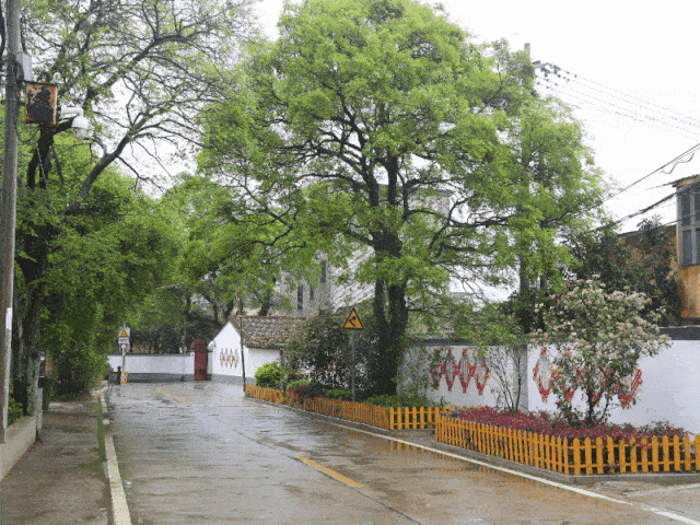 文武砂镇东海村"颜值"在这场"美丽长乐"大行动中"升级".