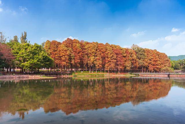 位於白雲山風景區南端,鄰近白雲仙館,區域內有聚芳園