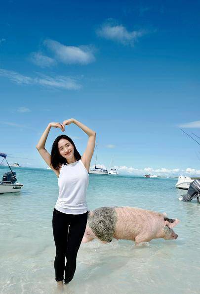 乘风破浪的宝藏姐姐王智在我这里早已c位出道