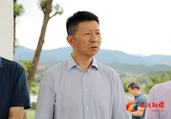 巩固脱贫攻坚成果王洪斌来茶调研脱贫攻坚及农业产业工作