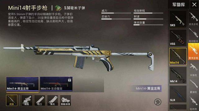 和平精英:mini14经典皮肤大盘点,最后两款是光子的神作