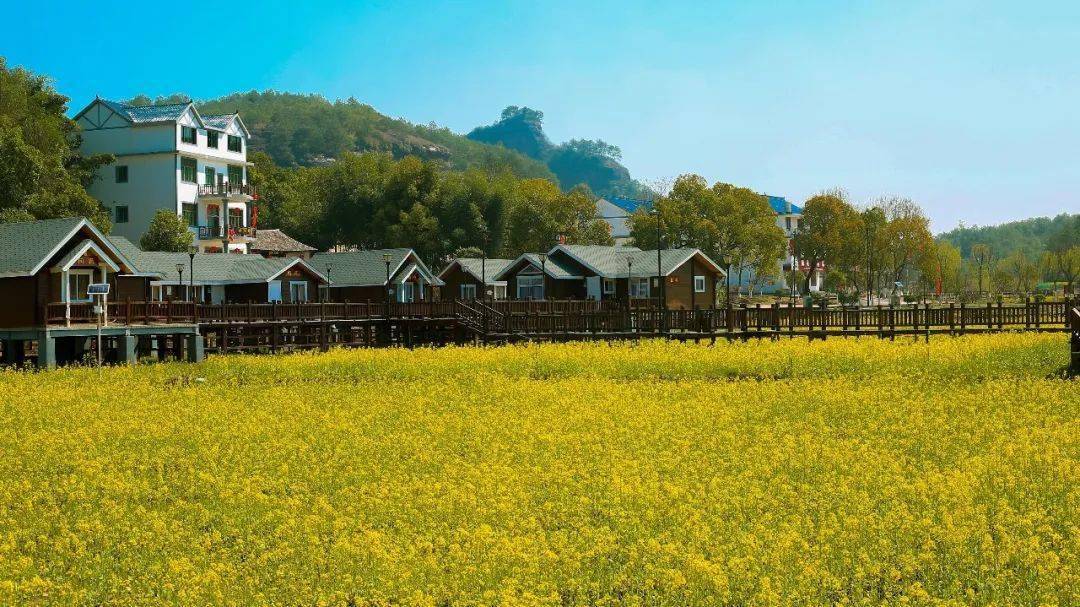 诗意田园 · 心归莲荷——横峰多彩莲荷任你游_旅游