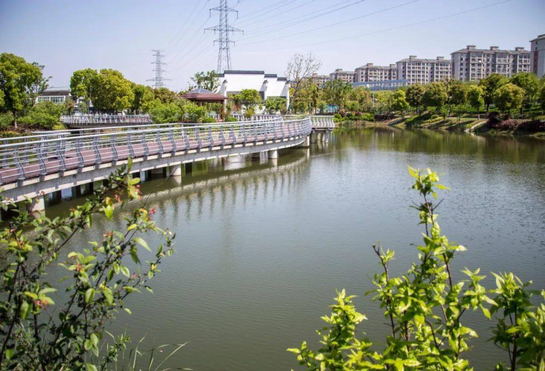 经开区( 杨舍镇)百桥村 赵峰/摄