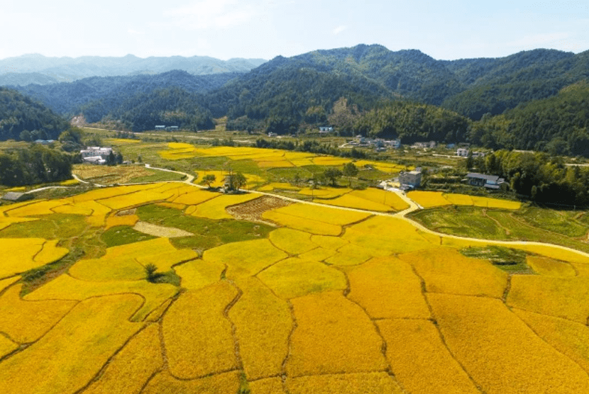 振兴美丽画卷徐徐展开——会昌县洞头乡示范镇建设助力乡村振兴_乡镇