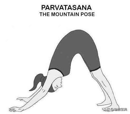瑜伽体式之太阳致敬式第五式山岳式调节脊髓神经向黎明之神致敬