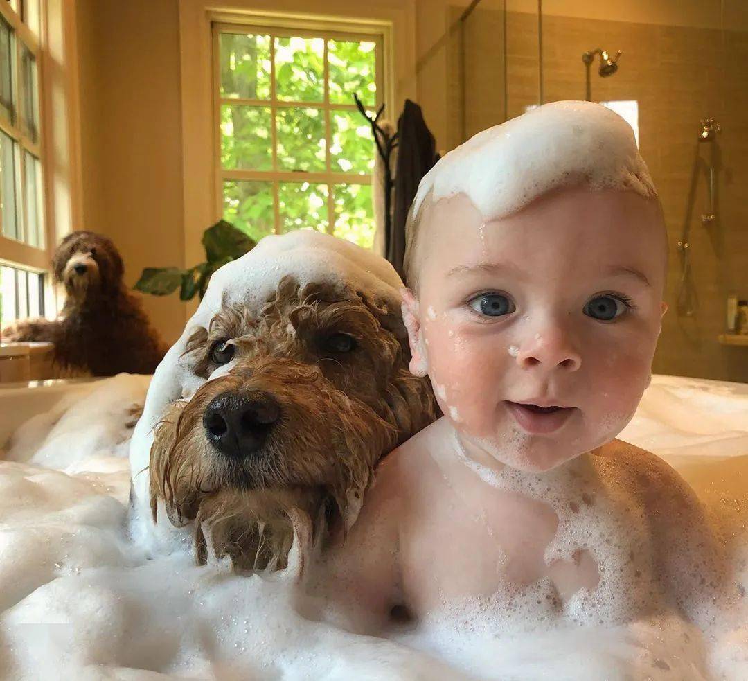 当萌娃遇上3只大狗,每一个画面都无比治愈!