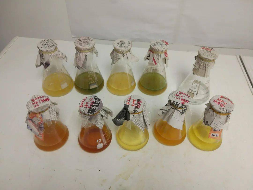 投入低,产出高,微生物采油当然是首选啦