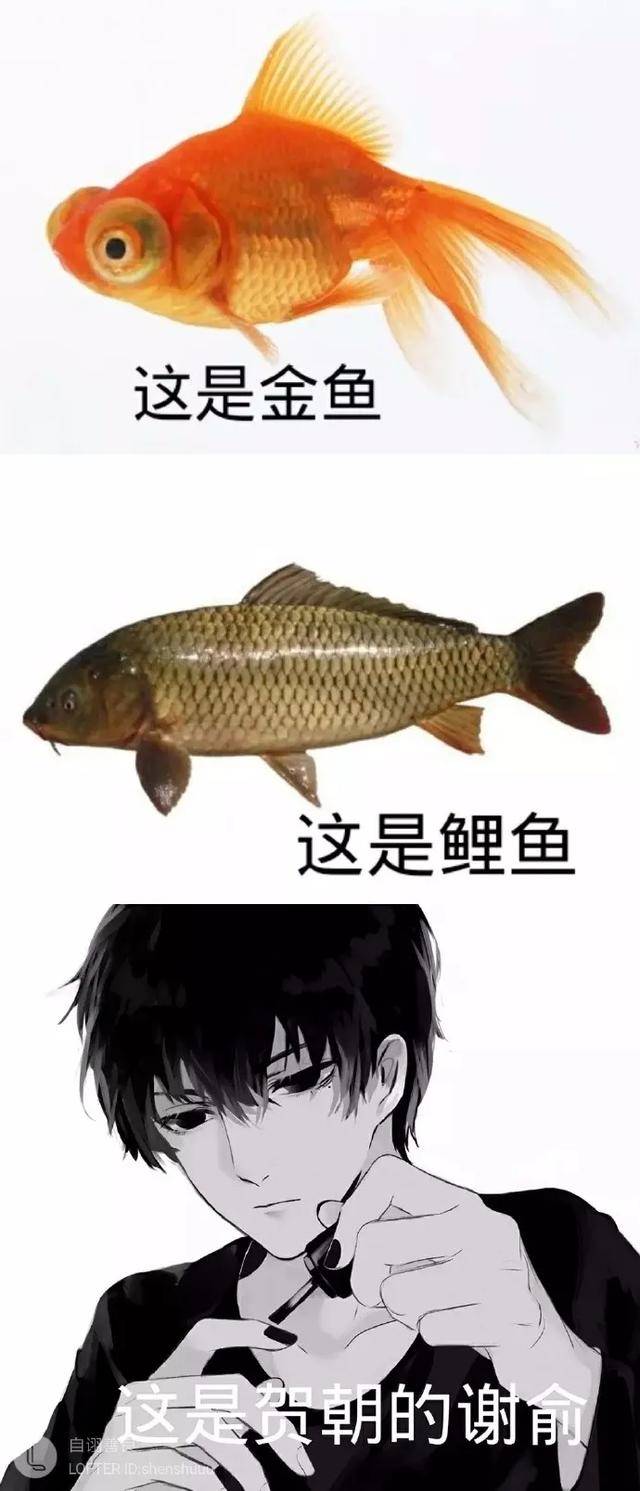 awm《绝地求生》:天时,地利,人和,祁醉于炀不想做人了