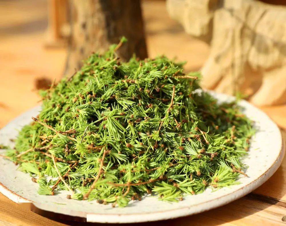落叶松嫩芽纯露:可以喝的纯露