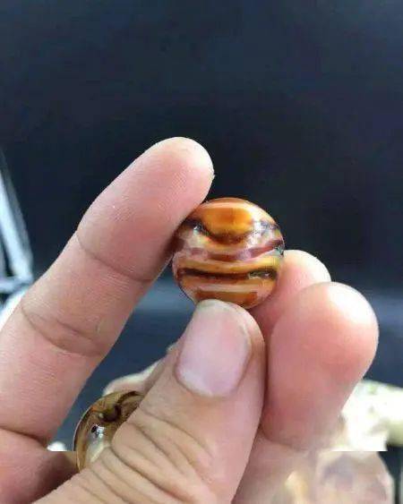 日本天皇的国宝级鹤天珠为何在东北随处可见