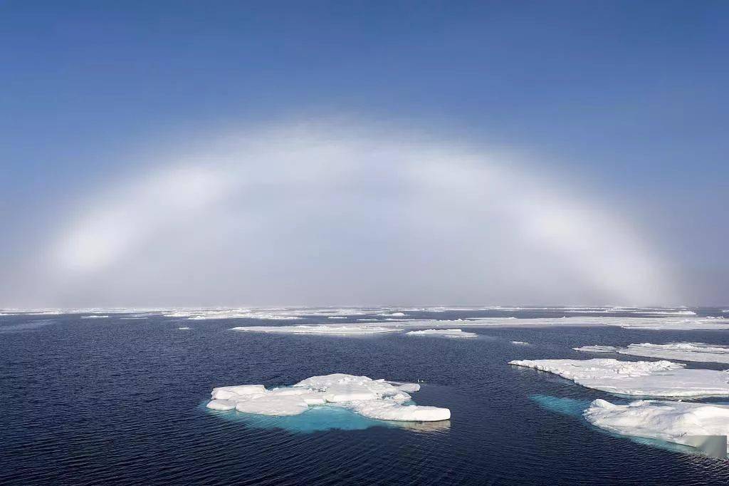 北极熊会在这段时间出来觅食,而当极昼来临时,惨淡的阳光映