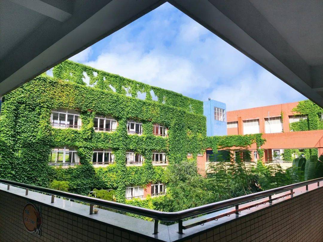 东区朗晴小学端午节放假安全温馨提示